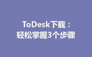 ToDesk下载：轻松掌握3个步骤-ToDesk官网_远程控制