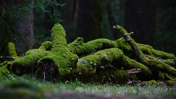 ToDesk下载正版攻略+官方渠道详解 二
