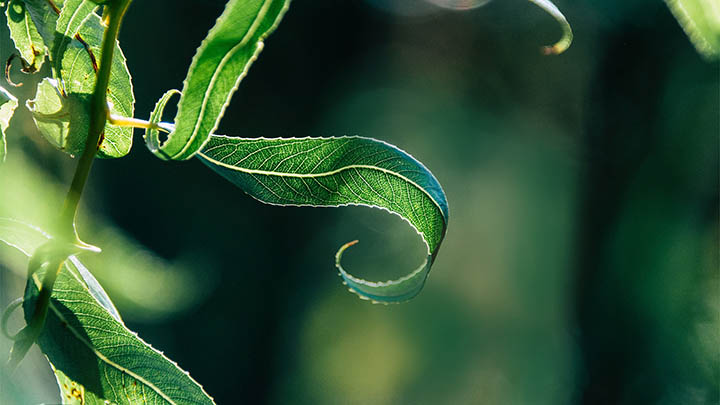 ToDesk下载如何提速：3招解决慢速问题 二