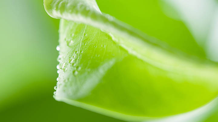 ToDesk下载旧版：教你如何轻松获取旧版本程序 二