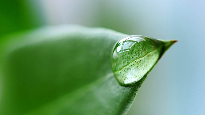 远程ToDesk下载指南＋最全安装步骤详解 二