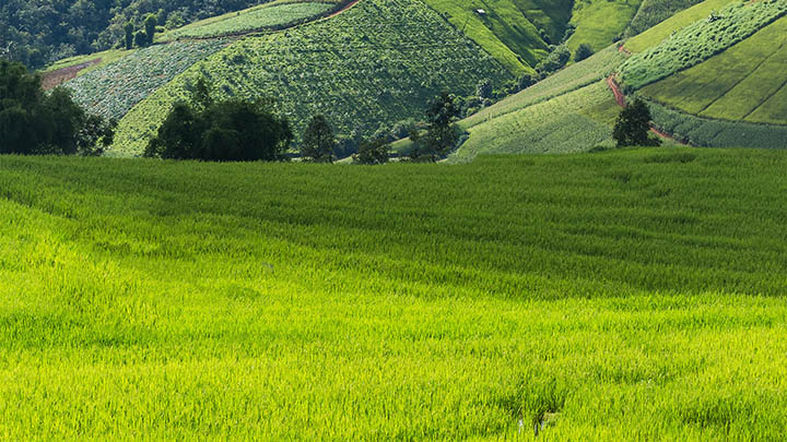 如何提升ToDesk下载速度?技巧全攻略! 二