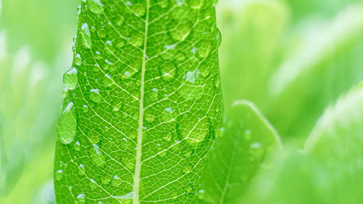 如何免费下载ToDesk？全面指南与实用建议 二