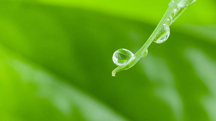 ToDesk下载插件失效？插件优化与第三方工具双重指导 二