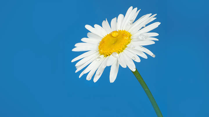 ToDesk下载在哪？完整指南助你快速获取！ 二