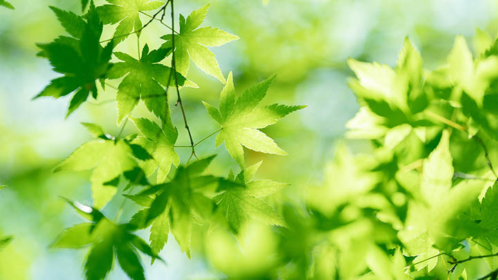 ToDesk下载教学怎么操作？快速上手指南 二