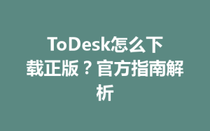 ToDesk怎么下载正版？官方指南解析-ToDesk官网_远程控制