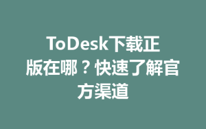 ToDesk下载正版在哪？快速了解官方渠道-ToDesk官网_远程控制