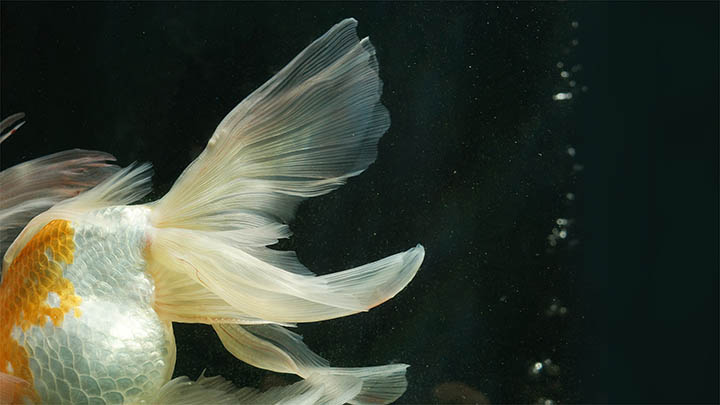 TODesk下载怎样更快速?独家指南揭秘五大优化绝招! 二