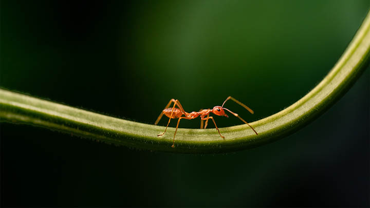 平板ToDesk下载：快速安装包全解 二
