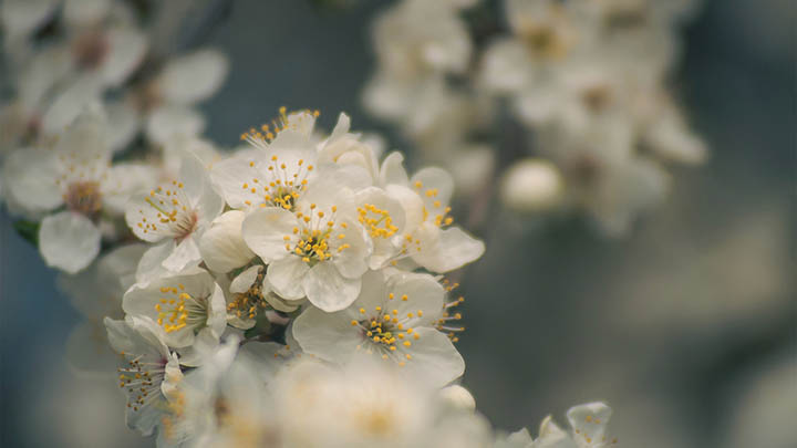 电脑ToDesk下载怎么操作？超全教程教你轻松下载安装 二