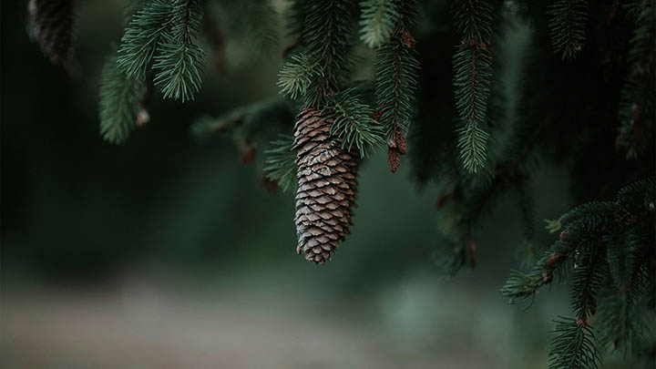ToDesk下载被控版教程+官网直达链接 二
