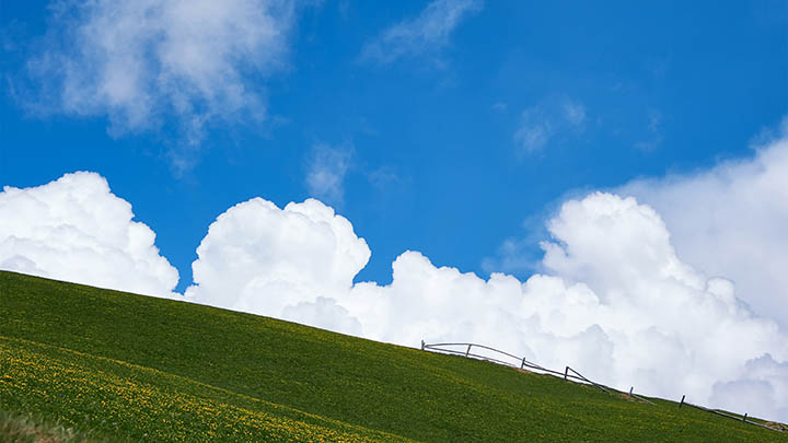 远程码ToDesk下载教程+安全设置全解析 二