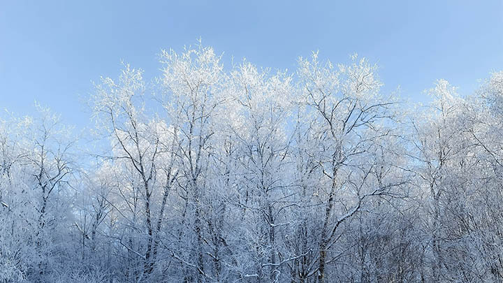 安卓用户无法下载ToDesk？最新完整版APK+国内外镜像稳定解决 二