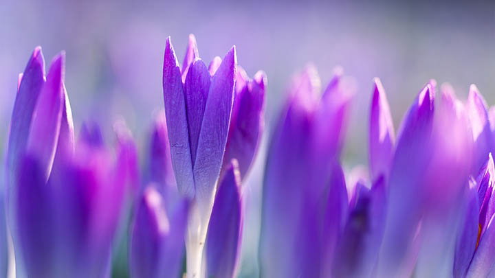 ToDesk下载在哪里：快速定位的3种方法 二