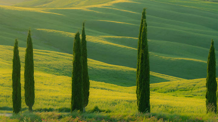 ToDesk下载安装图解指南 二