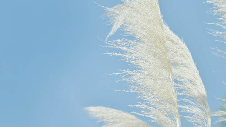 ToDesk下载是英文？详细解析及2025年最新版使用教程！ 二