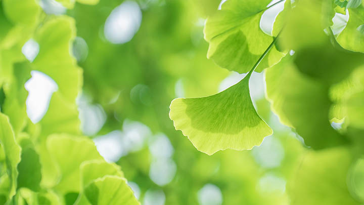 ToDesk下载详解：官网APP入口及使用攻略 二