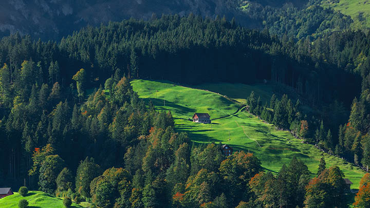 ToDesk下载无法连网？官网解决指南尽在此！ 二