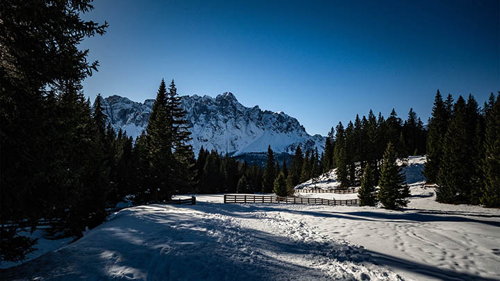 ToDesk下载官网1.3.4最新指南,如何快速获取并安装? 二