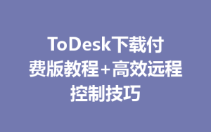 ToDesk下载付费版教程+高效远程控制技巧-ToDesk官网_远程控制