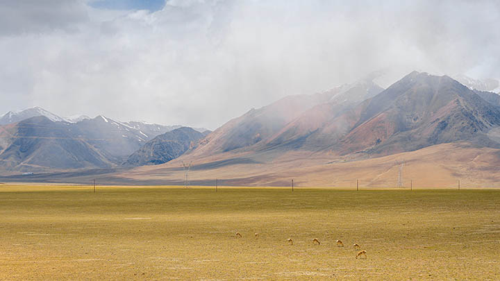ToDesk下载控制端在哪?最新安装定位教程详解 二